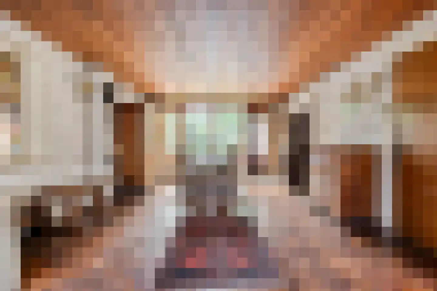 Burg. de Kuijperlaan 20 Veghel thumbnail 13