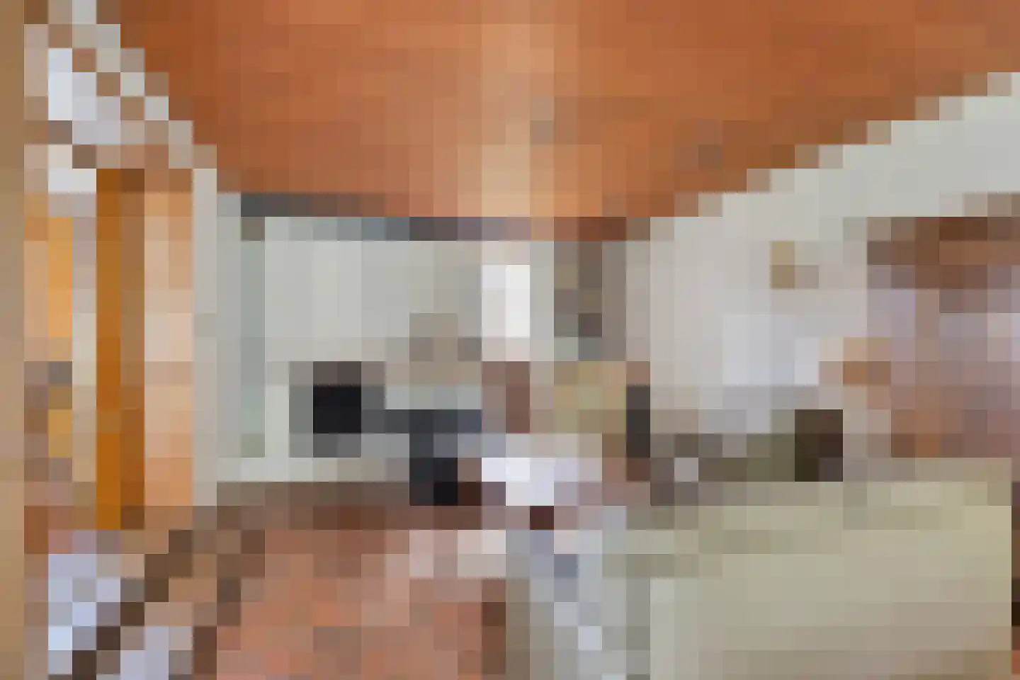 Burg. de Kuijperlaan 20 Veghel thumbnail 18