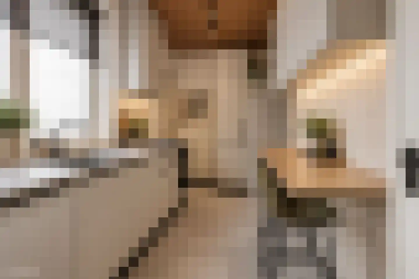 Burg. de Kuijperlaan 20 Veghel thumbnail 19