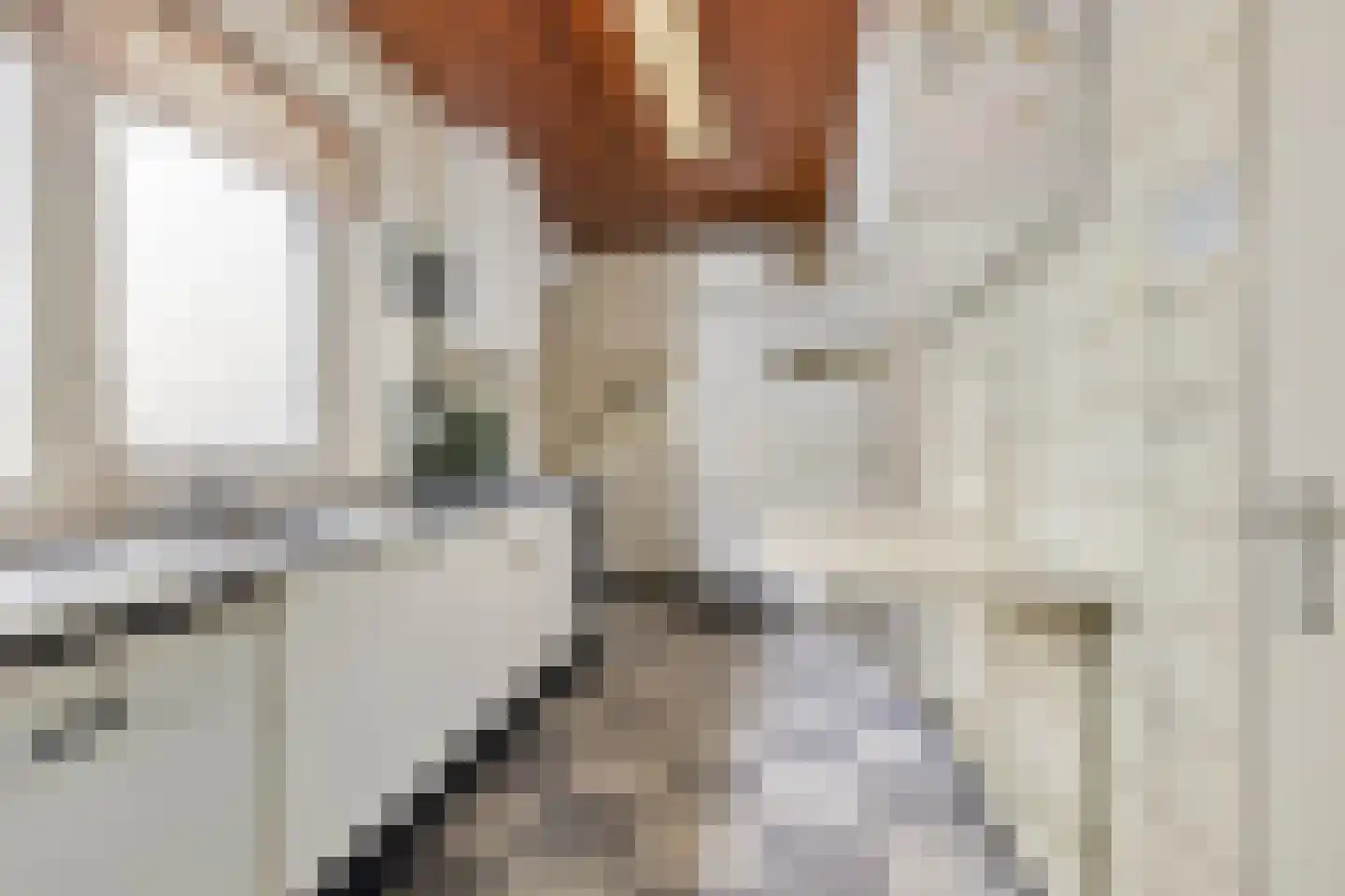 Burg. de Kuijperlaan 20 Veghel thumbnail 20