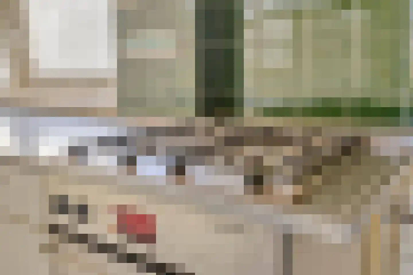 Burg. de Kuijperlaan 20 Veghel thumbnail 21