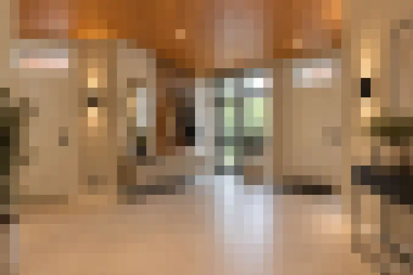 Burg. de Kuijperlaan 20 Veghel thumbnail 30