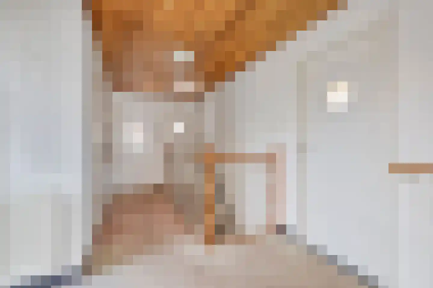 Burg. de Kuijperlaan 20 Veghel thumbnail 39