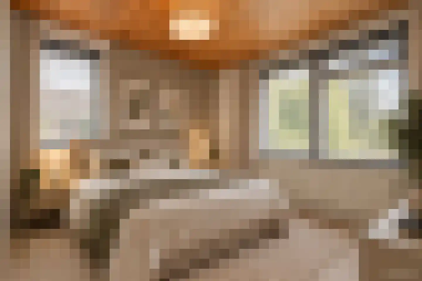 Burg. de Kuijperlaan 20 Veghel thumbnail 44