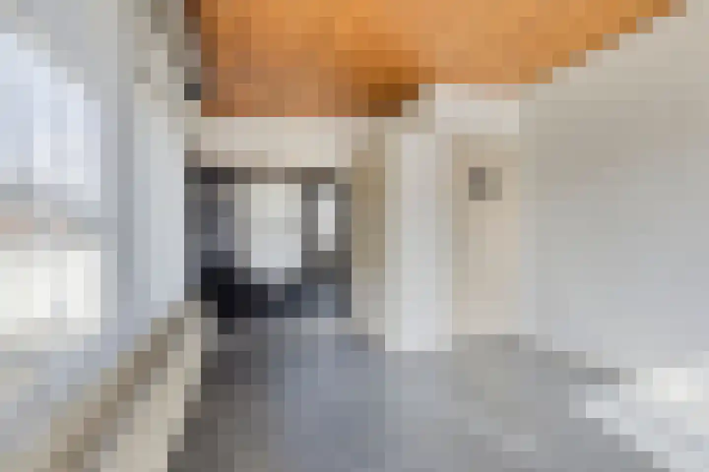 Burg. de Kuijperlaan 20 Veghel thumbnail 46