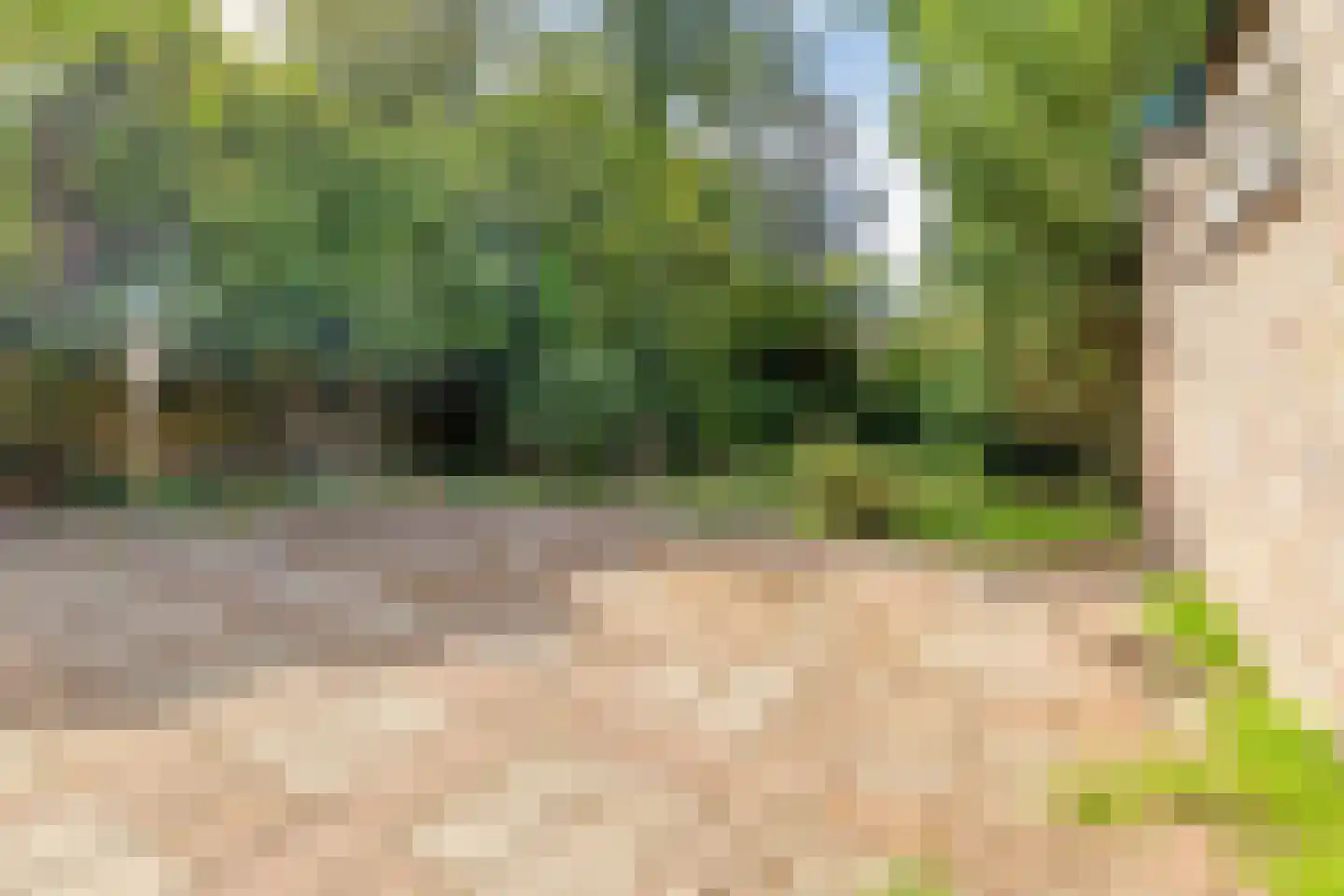 Burg. de Kuijperlaan 20 Veghel thumbnail 53