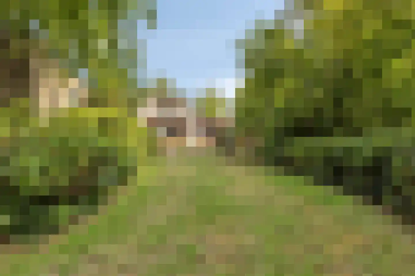 Burg. de Kuijperlaan 20 Veghel thumbnail 57