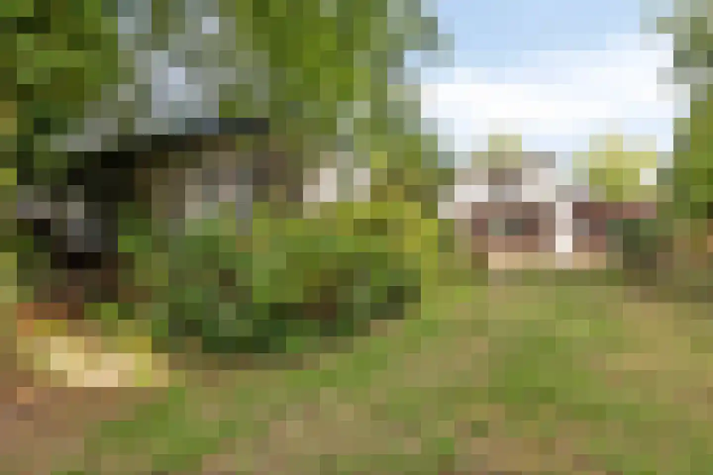 Burg. de Kuijperlaan 20 Veghel thumbnail 58