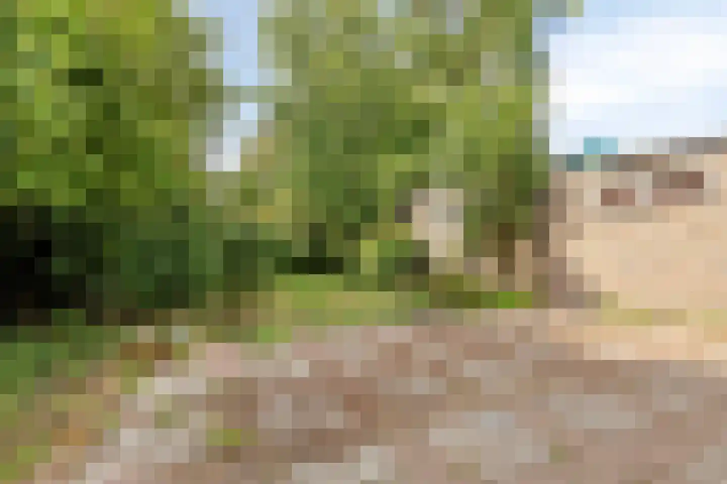 Burg. de Kuijperlaan 20 Veghel thumbnail 60