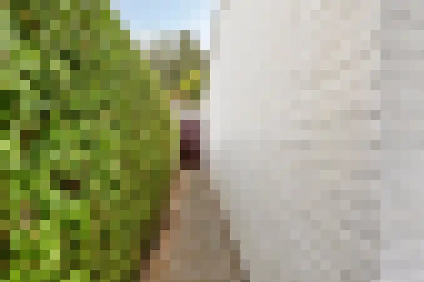 Burg. de Kuijperlaan 20 Veghel thumbnail 61