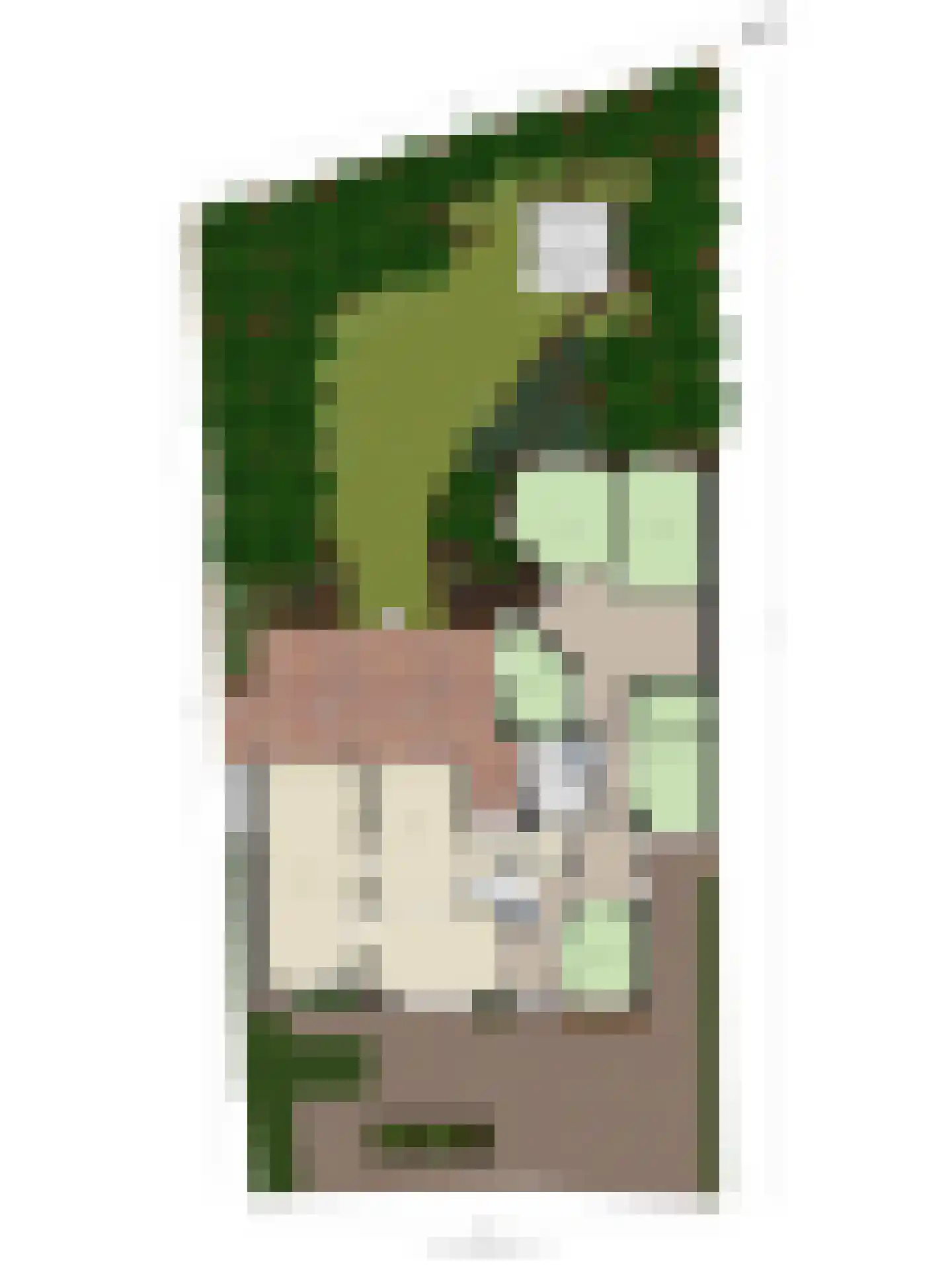 Burg. de Kuijperlaan 20 Veghel thumbnail 62