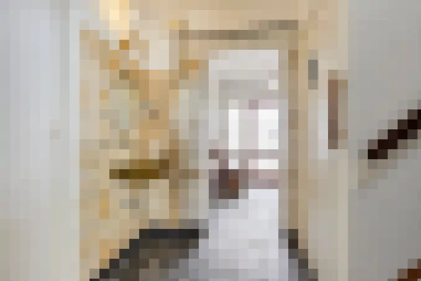 Burg. de Kuijperlaan 20 Veghel thumbnail 7