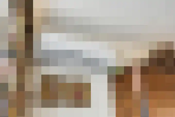 Burg. de Kuijperlaan 24 Veghel thumbnail 12