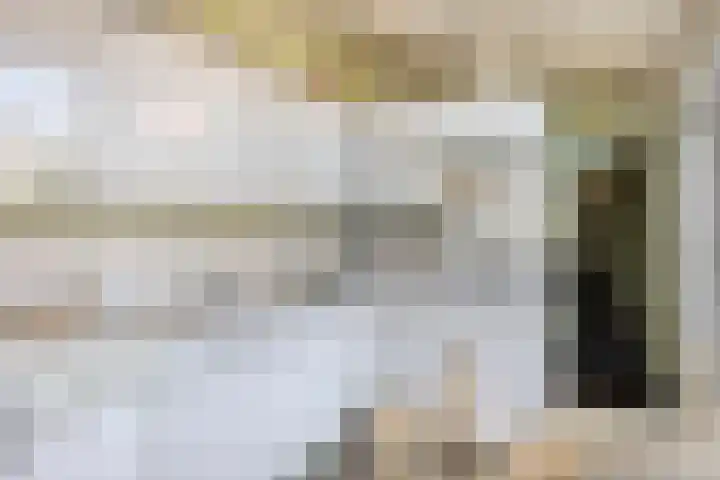 Burg. de Kuijperlaan 24 Veghel thumbnail 15