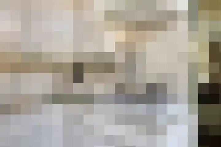 Burg. de Kuijperlaan 24 Veghel thumbnail 16