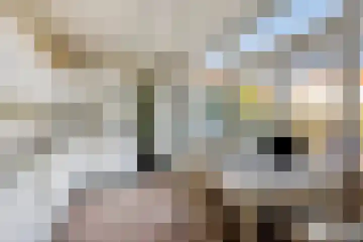 Burg. de Kuijperlaan 24 Veghel thumbnail 17