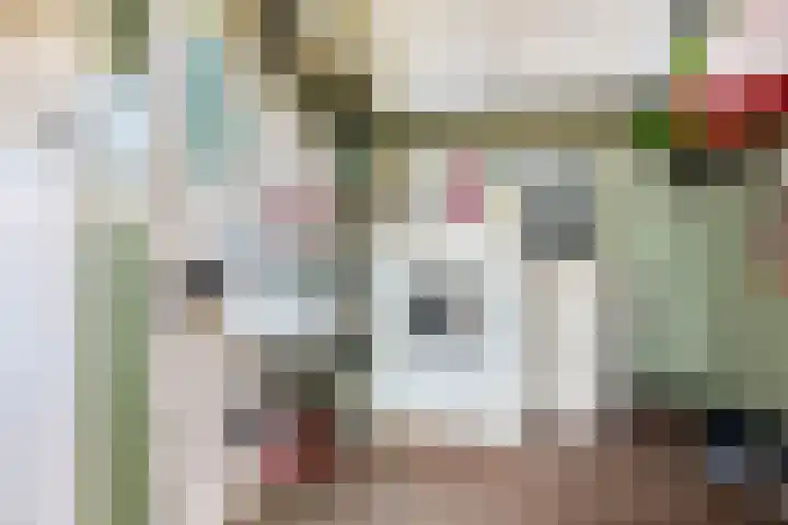 Burg. de Kuijperlaan 24 Veghel thumbnail 19