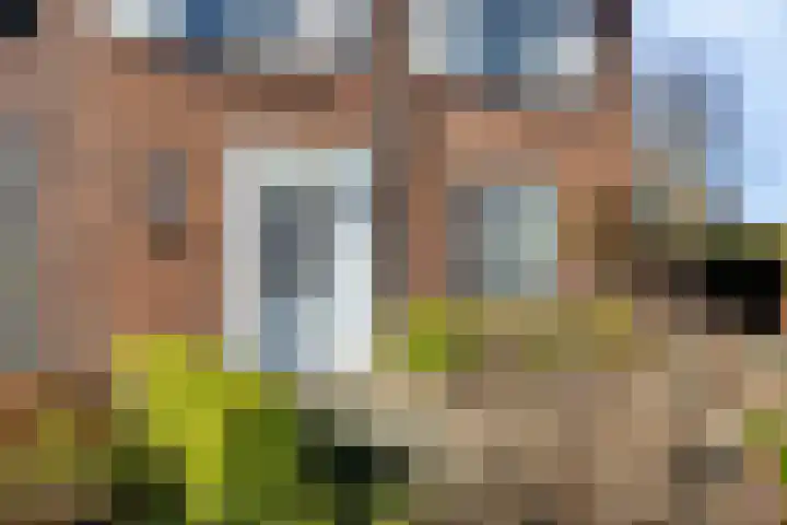 Burg. de Kuijperlaan 24 Veghel foto 2