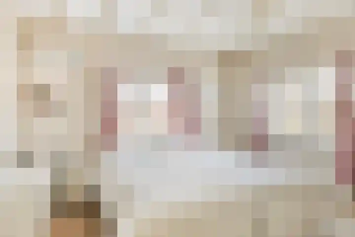 Burg. de Kuijperlaan 24 Veghel thumbnail 21