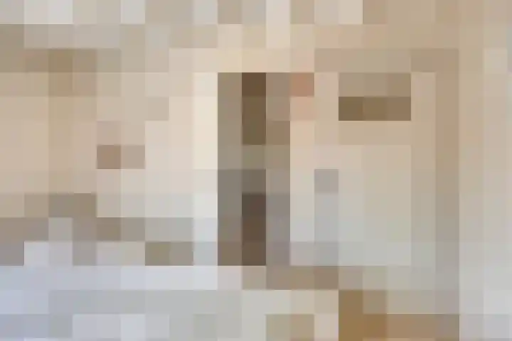 Burg. de Kuijperlaan 24 Veghel thumbnail 23