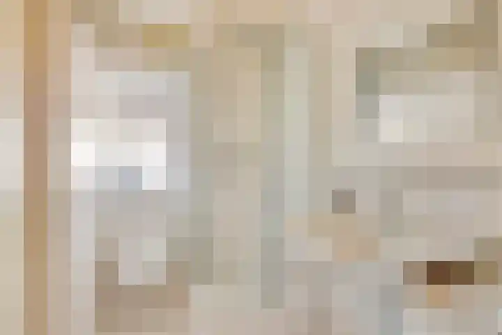 Burg. de Kuijperlaan 24 Veghel thumbnail 24