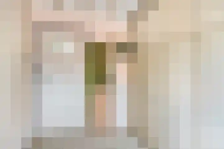 Burg. de Kuijperlaan 24 Veghel thumbnail 27