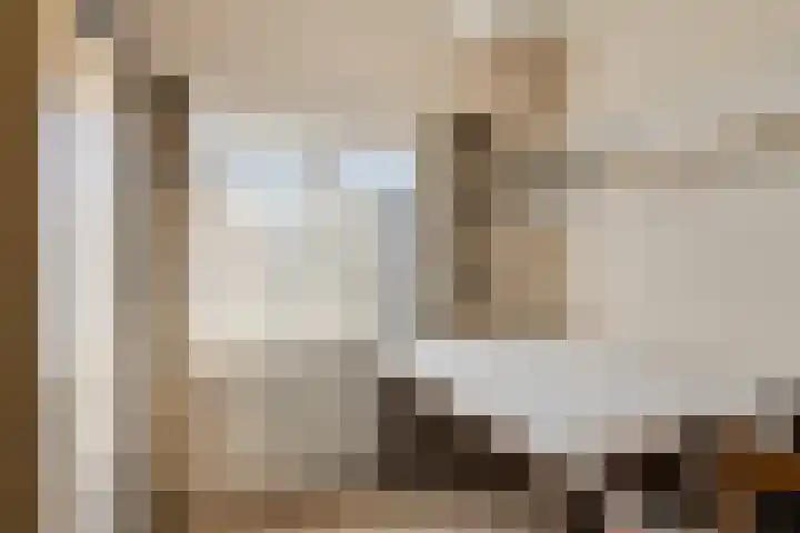 Burg. de Kuijperlaan 24 Veghel thumbnail 30