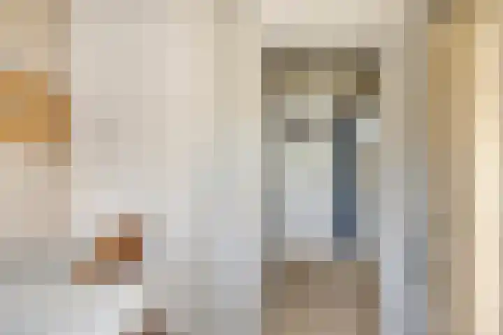 Burg. de Kuijperlaan 24 Veghel thumbnail 31