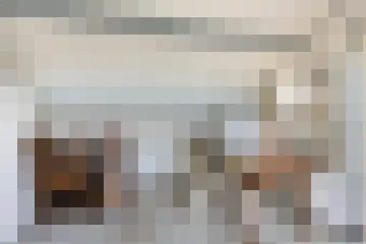 Burg. de Kuijperlaan 24 Veghel thumbnail 33