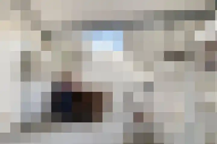 Burg. de Kuijperlaan 24 Veghel thumbnail 34