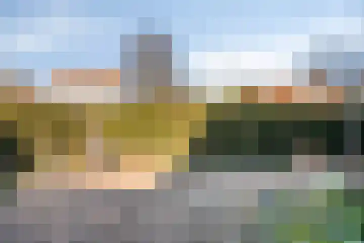 Burg. de Kuijperlaan 24 Veghel thumbnail 35