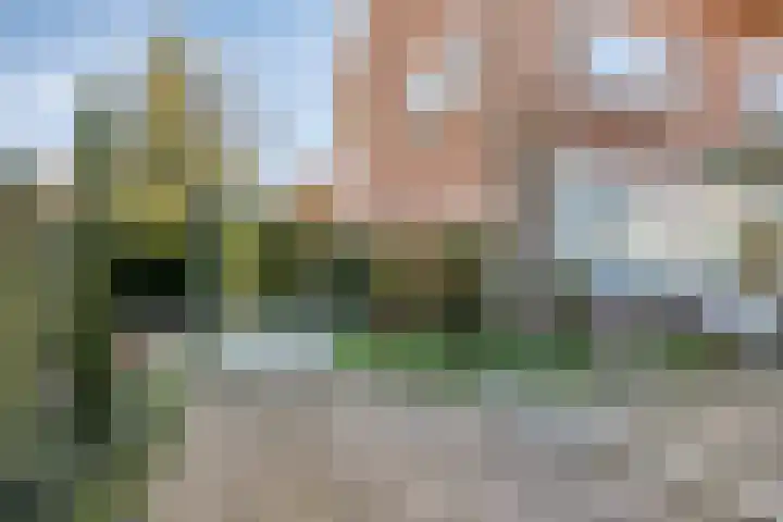 Burg. de Kuijperlaan 24 Veghel thumbnail 36