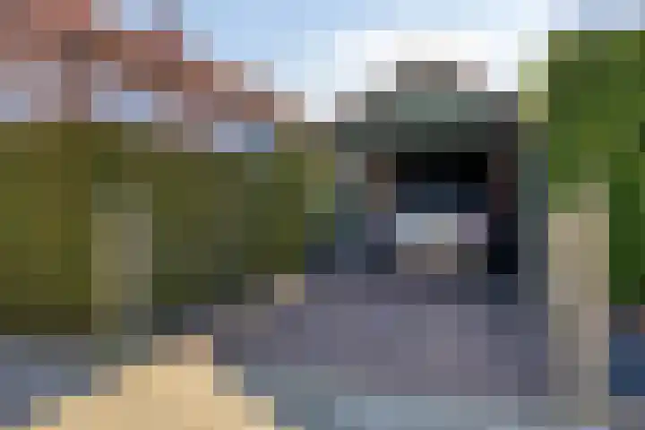 Burg. de Kuijperlaan 24 Veghel thumbnail 39