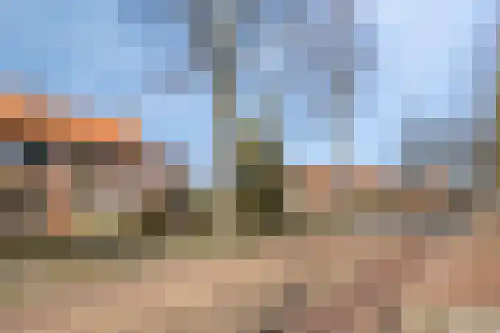 Burg. de Kuijperlaan 24 Veghel thumbnail 43