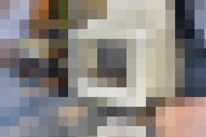 Burg. de Kuijperlaan 24 Veghel thumbnail 8