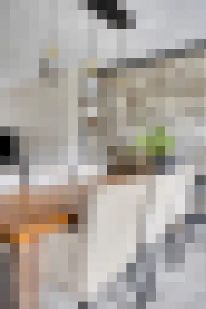 Burg. de Kuijperlaan 4 Veghel thumbnail 11