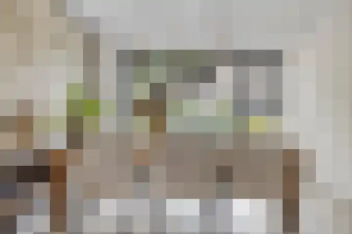 Burg. de Kuijperlaan 4 Veghel thumbnail 12