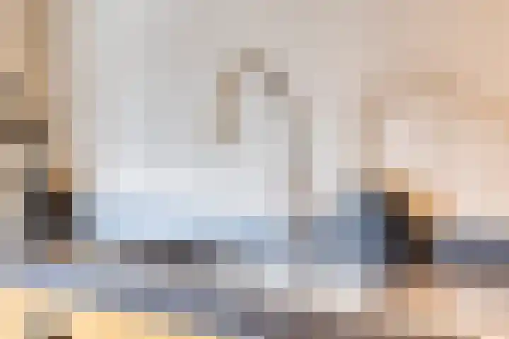 Burg. de Kuijperlaan 4 Veghel thumbnail 14