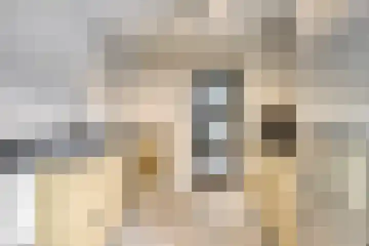 Burg. de Kuijperlaan 4 Veghel thumbnail 15