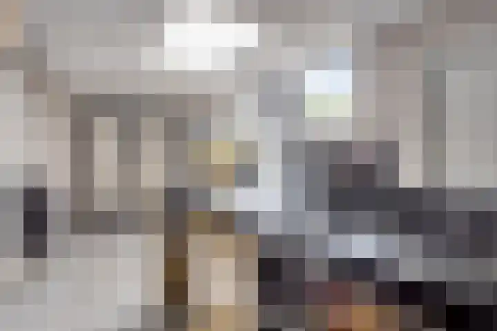 Burg. de Kuijperlaan 4 Veghel thumbnail 16