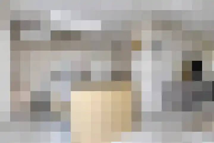 Burg. de Kuijperlaan 4 Veghel thumbnail 17