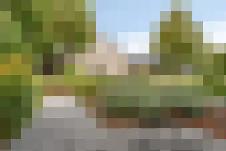 Burg. de Kuijperlaan 4 Veghel foto 2