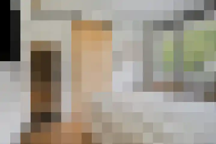 Burg. de Kuijperlaan 4 Veghel thumbnail 23