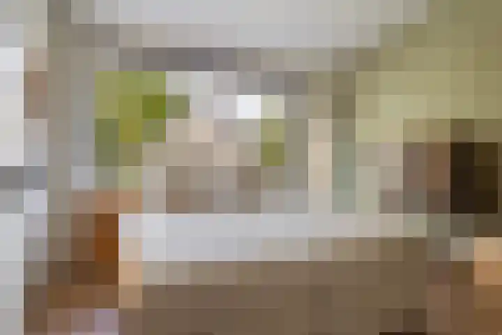 Burg. de Kuijperlaan 4 Veghel thumbnail 24