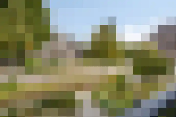 Burg. de Kuijperlaan 4 Veghel thumbnail 25