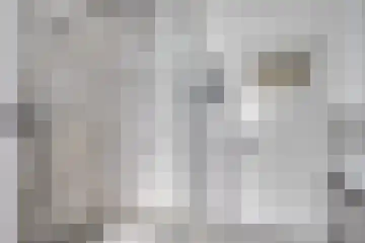 Burg. de Kuijperlaan 4 Veghel thumbnail 27
