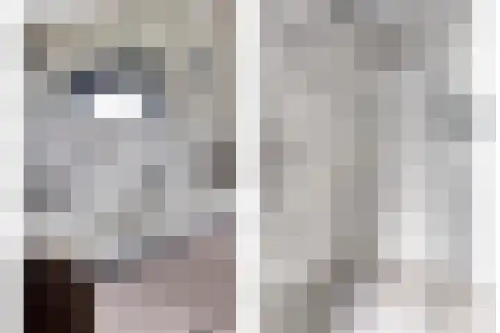 Burg. de Kuijperlaan 4 Veghel thumbnail 28