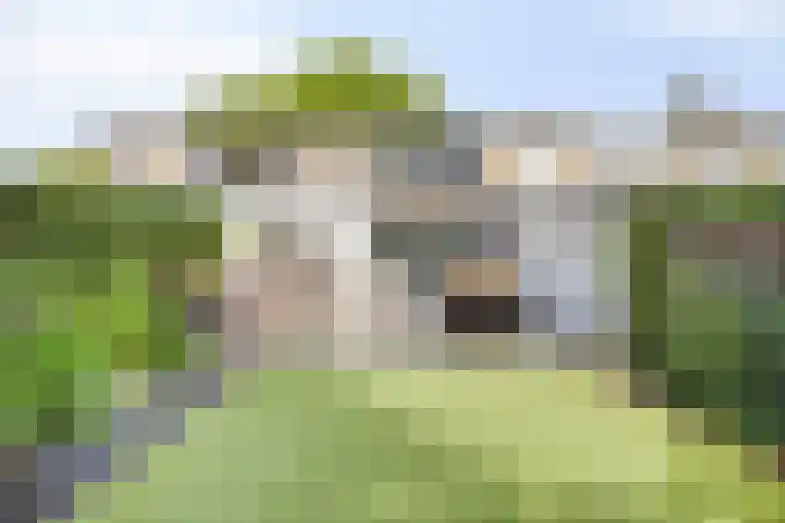Burg. de Kuijperlaan 4 Veghel foto 3