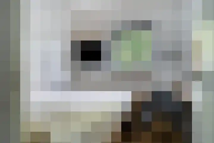 Burg. de Kuijperlaan 4 Veghel thumbnail 31