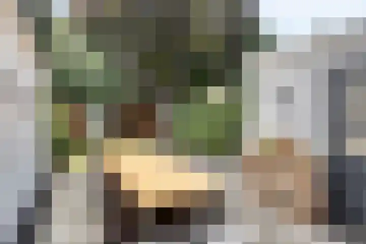 Burg. de Kuijperlaan 4 Veghel thumbnail 32